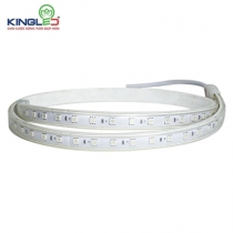 ĐÈN LED DÂY ĐỔI MÀU KINGLED  EC-LD-7-5050-RGB